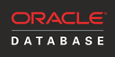 Oracle E-Business Suite connection option