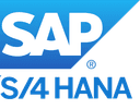 SAP S/4HANA connection option
